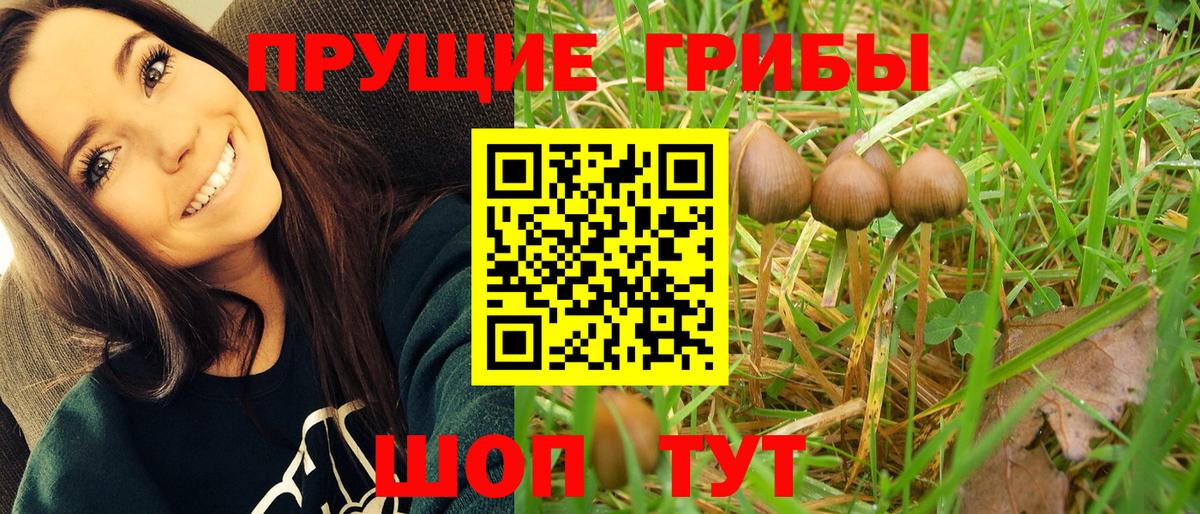 Галлюциногенные грибы Psilocybe  Галлюциногенные грибы GOLDEN TEACHER  Ангарск  Вход с VPN 